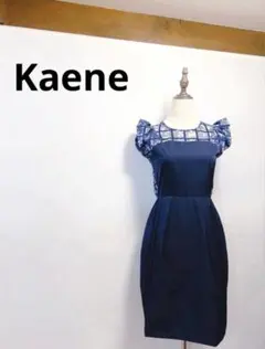 【美品】Kaene ネイビーシースルーワンピース222-2のサムネイル