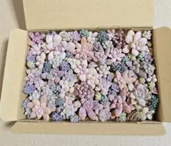 くまさん様 リクエスト 3点 まとめ商品