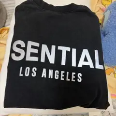 ESSENTIAL Tシャツエムサイズ お兄ちゃんからのお下がりで来てたものです