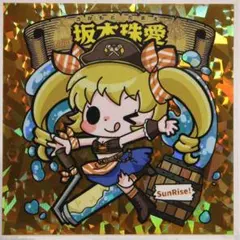 【155】塗料屋@サンライズ 江の島コラボ 海賊 坂本珠愛