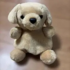 AURORA オーロラ お手玉マスコット ぬいぐるみ　犬 レトリーバーのサムネイル