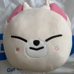 Stray Kids SKZOO ドームBIGぬいぐるみ GiGO限定 - メルカリ