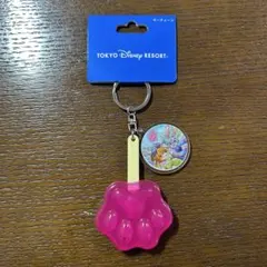 未使用　東京ディズニーリゾート　ズートピア　アイスキャンディー　キーチェーン