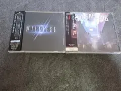 廃盤レア 日本盤 WILDNESS & STREAMLINE CD セット 北欧