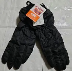 Item thumbnail for item c81a6d22-e22b-412e-951a-908f00920b2d