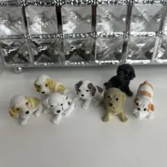 犬のフィギュア 6体セット