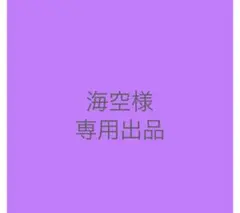 海空様専用出品