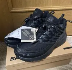 SALOMON ACS PRO GTX ブラック 28cm