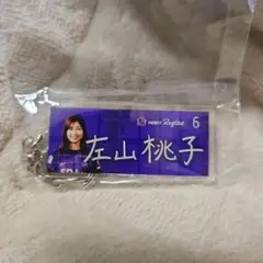 Item thumbnail for item f8579864-f330-40cd-a72f-2a567de3f0c5