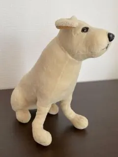 2026年最新】サンアロー 犬の人気アイテム - メルカリ