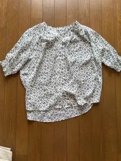 Item thumbnail for item a38cadb7-c6a8-43f0-895f-f304b3ab899f