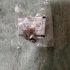 家庭教師ヒットマンREBORN! 沢田綱吉 めじるしアクセサリー