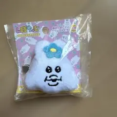 んぽちゃむ マスコットヘアクリップ
