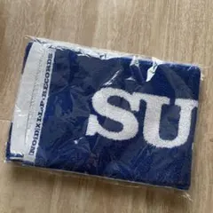 Item thumbnail for item 058fb650-ae33-4618-864f-6af8d79a827f