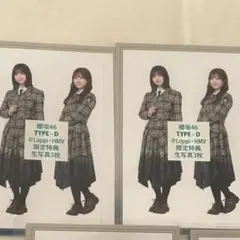 櫻坂46 HMV 特典 生写真 TypeD