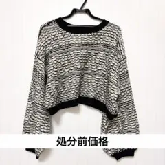 kastane カスタネ 福袋 白黒ストライプ クロップドニット Fサイズ