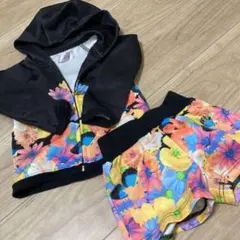 ちびradyセットアップ