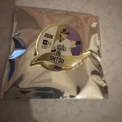 福岡ソフトバンクホークス 大津　ピンバッジ