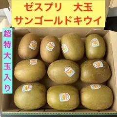 【ラスト1点】正規品　ゼスプリ　サンゴールドキウイ　大玉　1.6kg 10個入りのサムネイル