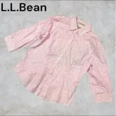 Item thumbnail for item 6c1309b0-4af1-487d-8292-19c547def0b6