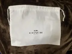 Item thumbnail for item 49aea169-6bf4-46f4-80e9-9aa728cb311c