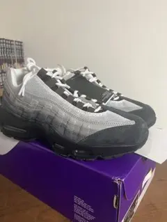 26cm Nike SB Air Max 95 