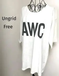 アングリッドロゴビックTシャツ白オフホワイト半袖フリーヴィンテージ古着ドライのサムネイル