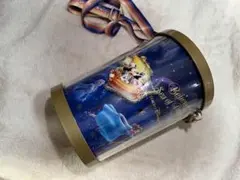 ディズニーシー ビリーヴ！シー・オブ・ドリームス ポップコーンバケットのサムネイル
