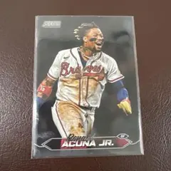 Item thumbnail for item 88c49193-7cca-41a9-ad29-345f85b1d1d8