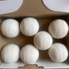ナガセケンコー KENKO BALL J球 7個入り
