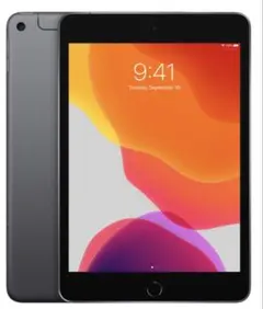 【美品】iPad mini 第5世代 64GB スペースグレイ Wi-Fiモデル