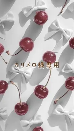 カリメロ様専用