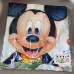 東京ディズニーランド　新エリア　ニューファンタジーランド　バスタオルのサムネイル