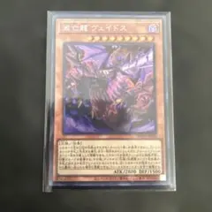 遊戯王 滅亡龍ヴェイドス シークレット シク 2枚 - メルカリ