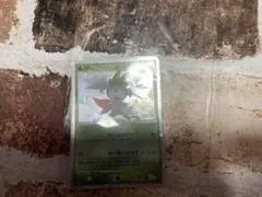 Item thumbnail for item 11aab002-81f2-4507-97cb-bf11952b3309