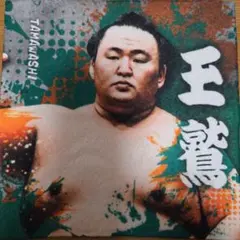 Item thumbnail for item 5a777caa-9119-4af6-9655-1f124d3c1487