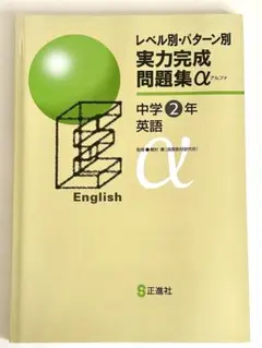 RECCA様 リクエスト 2点 まとめ商品