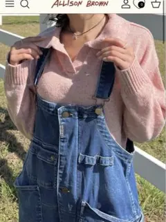 ALLISONBROWN ピンク ポロネック ニットセーター