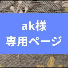 ポケカ　MEGAドリームex　NのゼクロムAR