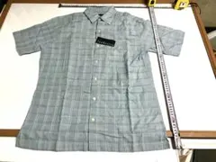 Item thumbnail for item 70dd673c-e501-4df9-90e0-e12b478b4da0