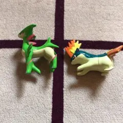 ポケモン マグマラシ ビリジオン