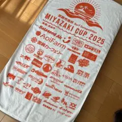 Item thumbnail for item b96a23fc-4ec3-4bdd-a0cc-11c1f16d7eed