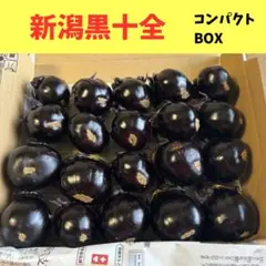新潟黒十全 コンパクトBOXのサムネイル