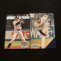 プロ野球チップス　2024 カルビー　東京ヤクルトスワローズ　選手カードセット