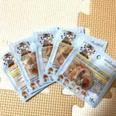 Item thumbnail for item dd75ba35-f09b-42d5-a319-298cbe49e562