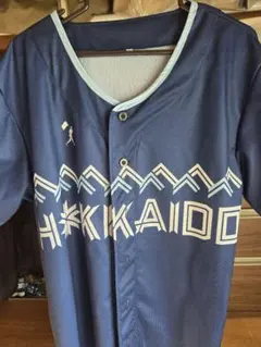 WE LOVE HOKKAIDO & FIGHTERS 2025