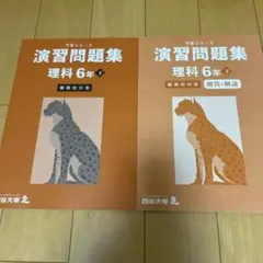 四谷大塚　予習シリーズ　演習問題集　理科　6年 下　難関校対策