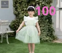 コトリ ディズニー バースデイ ティンカーベル