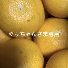 八朔　ぐぅちゃんさま専用