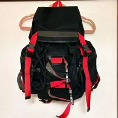◇極希少 19